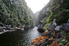 0407 Tsitsikamma Gorge IMG_3270.JPG